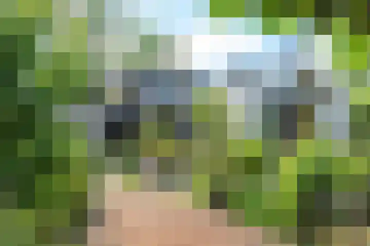 Nauerna 17 Assendelft thumbnail 58