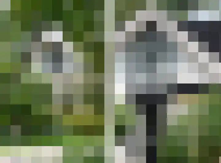 Nauerna 17 Assendelft thumbnail 6