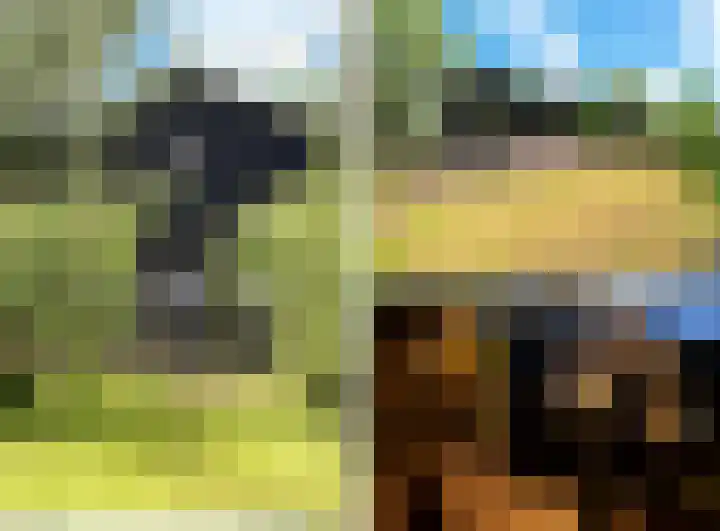 Nauerna 17 Assendelft thumbnail 60