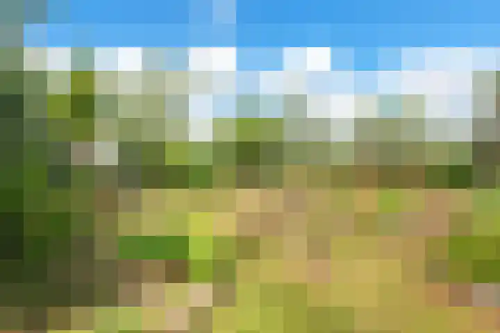 Nauerna 17 Assendelft thumbnail 61