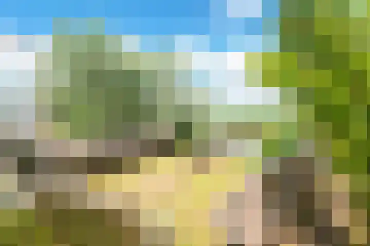 Nauerna 17 Assendelft thumbnail 64