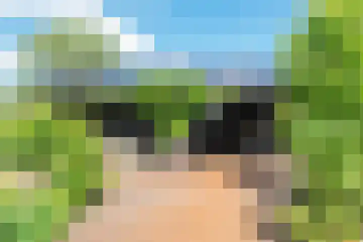 Nauerna 17 Assendelft thumbnail 65