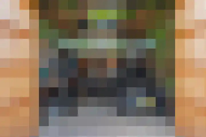 Nauerna 17 Assendelft thumbnail 68