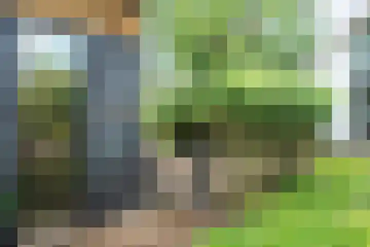 Nauerna 17 Assendelft thumbnail 69