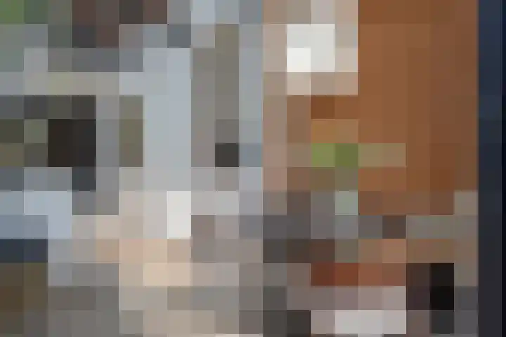 Nauerna 17 Assendelft thumbnail 7