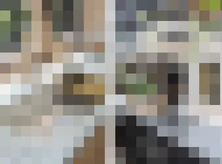 Nauerna 17 Assendelft thumbnail 8