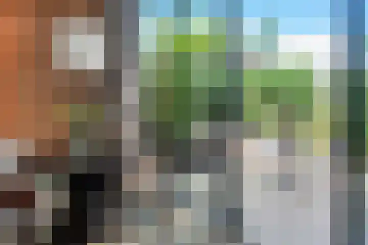 Nauerna 17 Assendelft thumbnail 9
