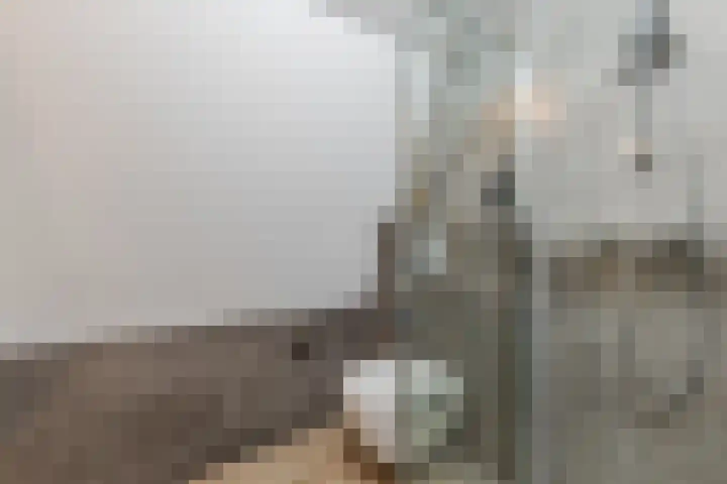 Nauerna 20 Assendelft thumbnail 33