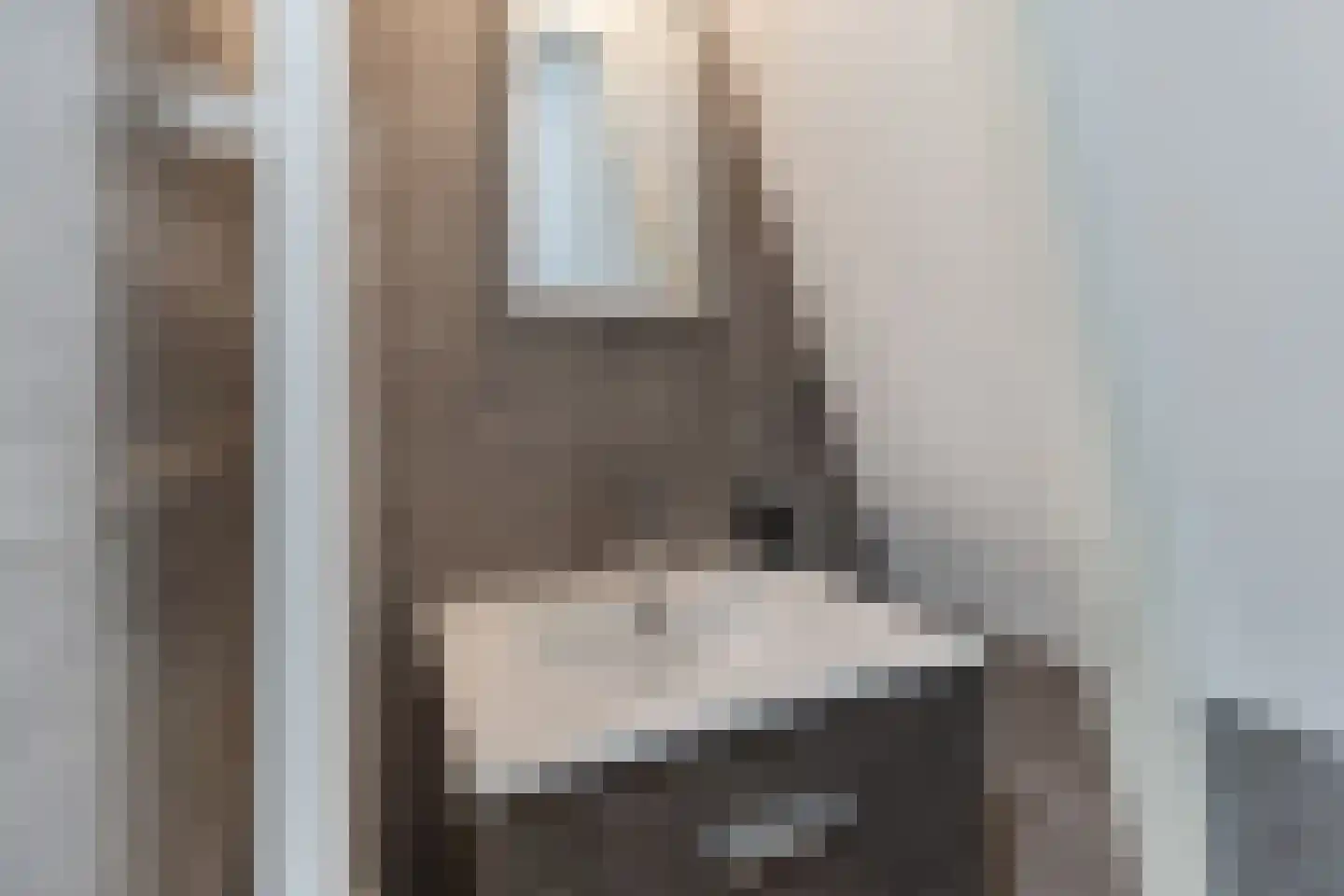 Nauerna 20 Assendelft thumbnail 34