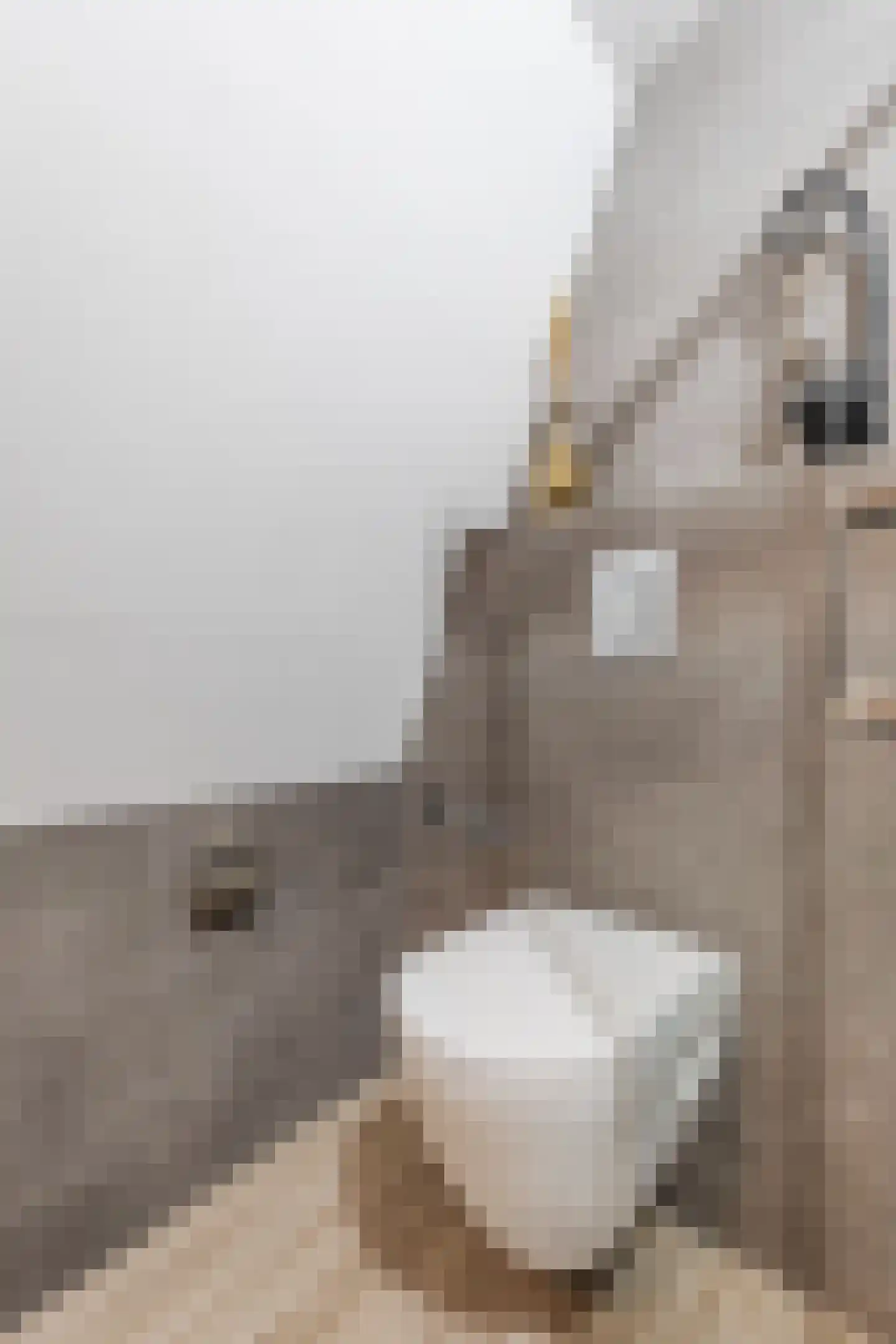 Nauerna 20 Assendelft thumbnail 36