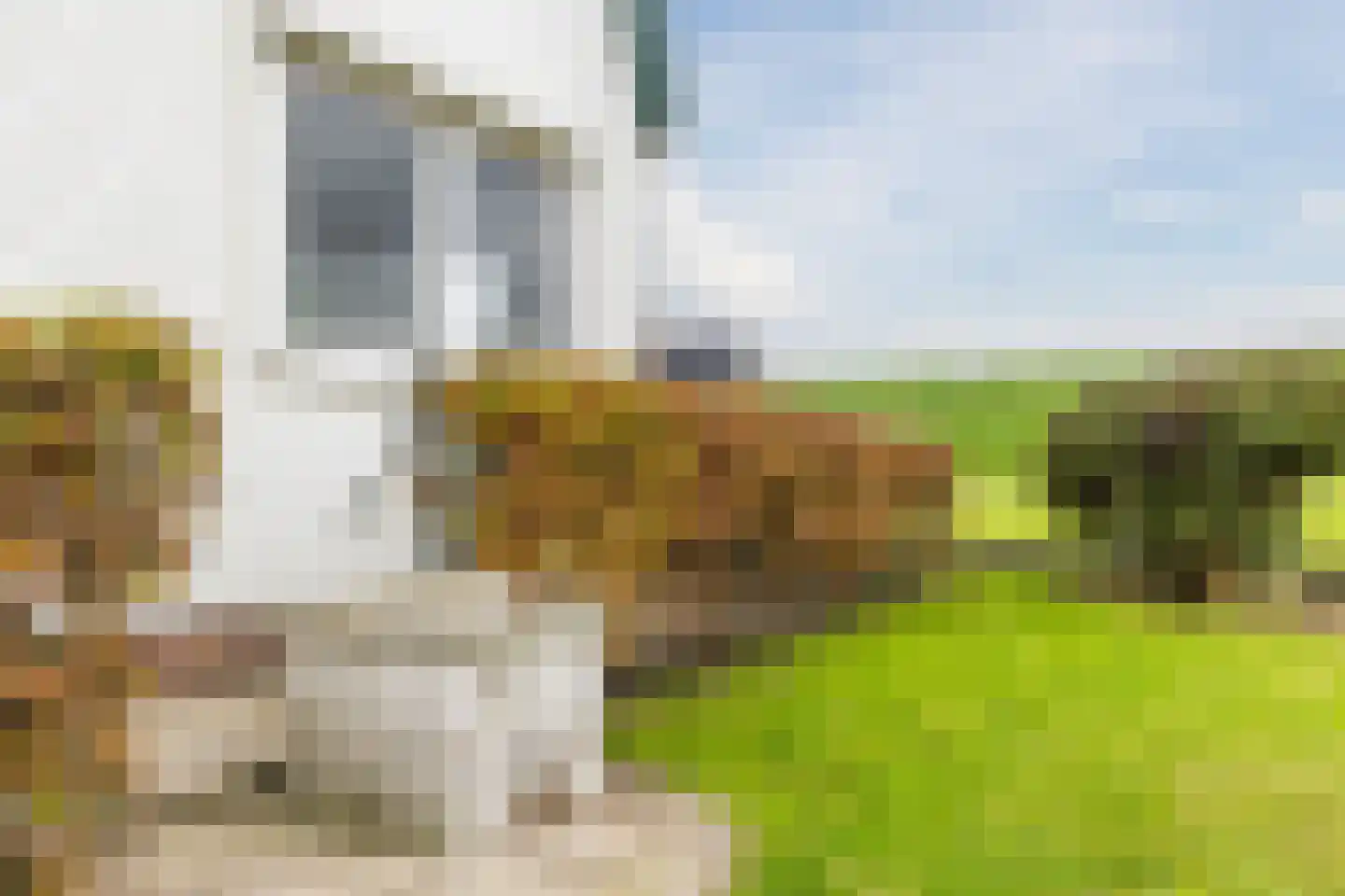 Nauerna 20 Assendelft thumbnail 37