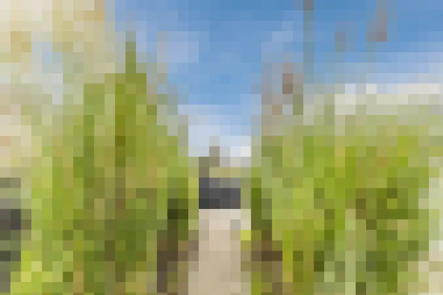 Nauerna 20 Assendelft thumbnail 45