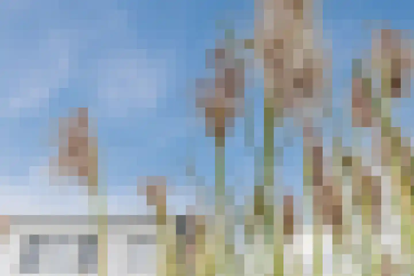 Nauerna 20 Assendelft thumbnail 53
