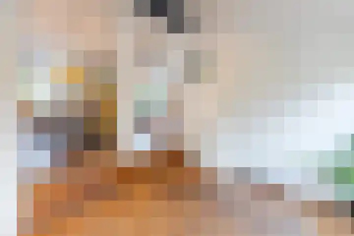 Nauerna 25 Assendelft thumbnail 28