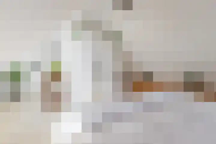 Nauerna 25 Assendelft thumbnail 48