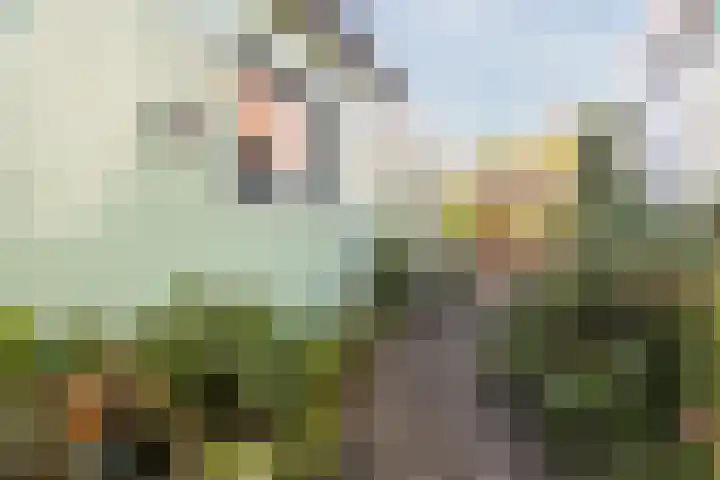 Nauerna 25 Assendelft thumbnail 57