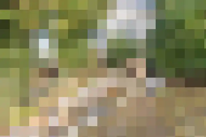 Nauerna 25 Assendelft thumbnail 58