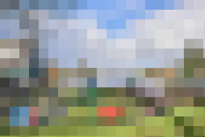 Nauerna 25 Assendelft thumbnail 68