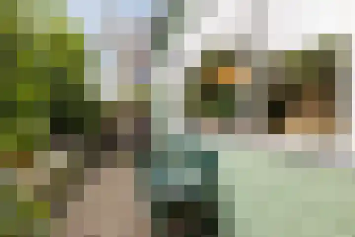 Nauerna 25 Assendelft thumbnail 8