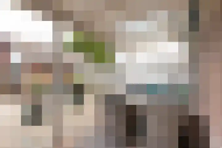 Nauerna 68 Zwanenburg thumbnail 13