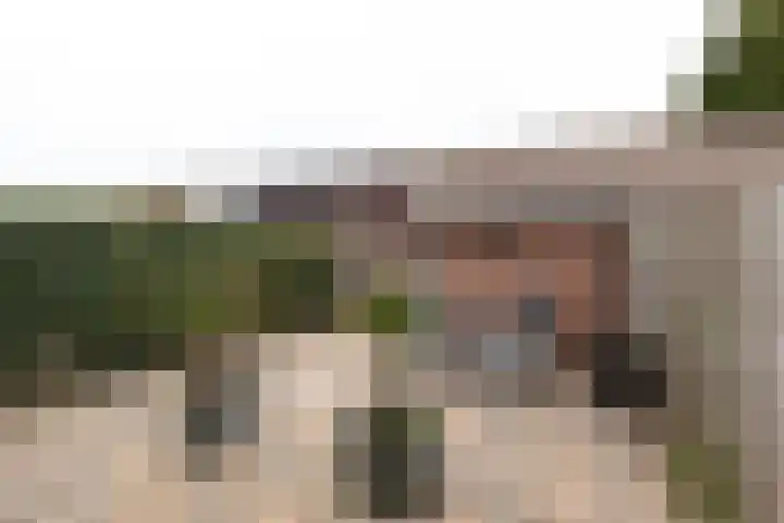 Nauerna 68 Zwanenburg thumbnail 15