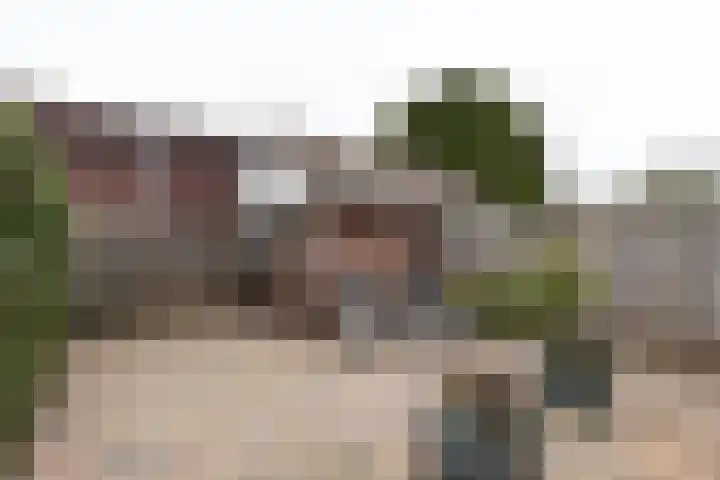 Nauerna 68 Zwanenburg thumbnail 16