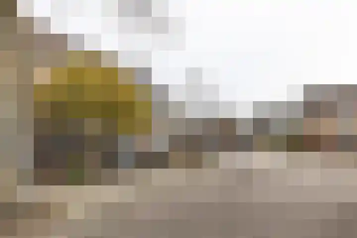 Nauerna 68 Zwanenburg thumbnail 35