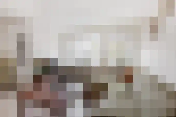 Nauerna 68 Zwanenburg thumbnail 9