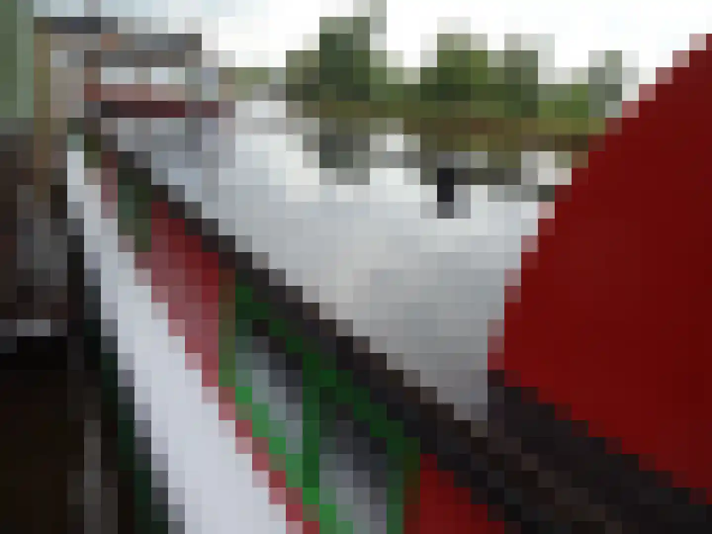 Nauernasche Vaartdijk 52 ROOD Westzaan thumbnail 19