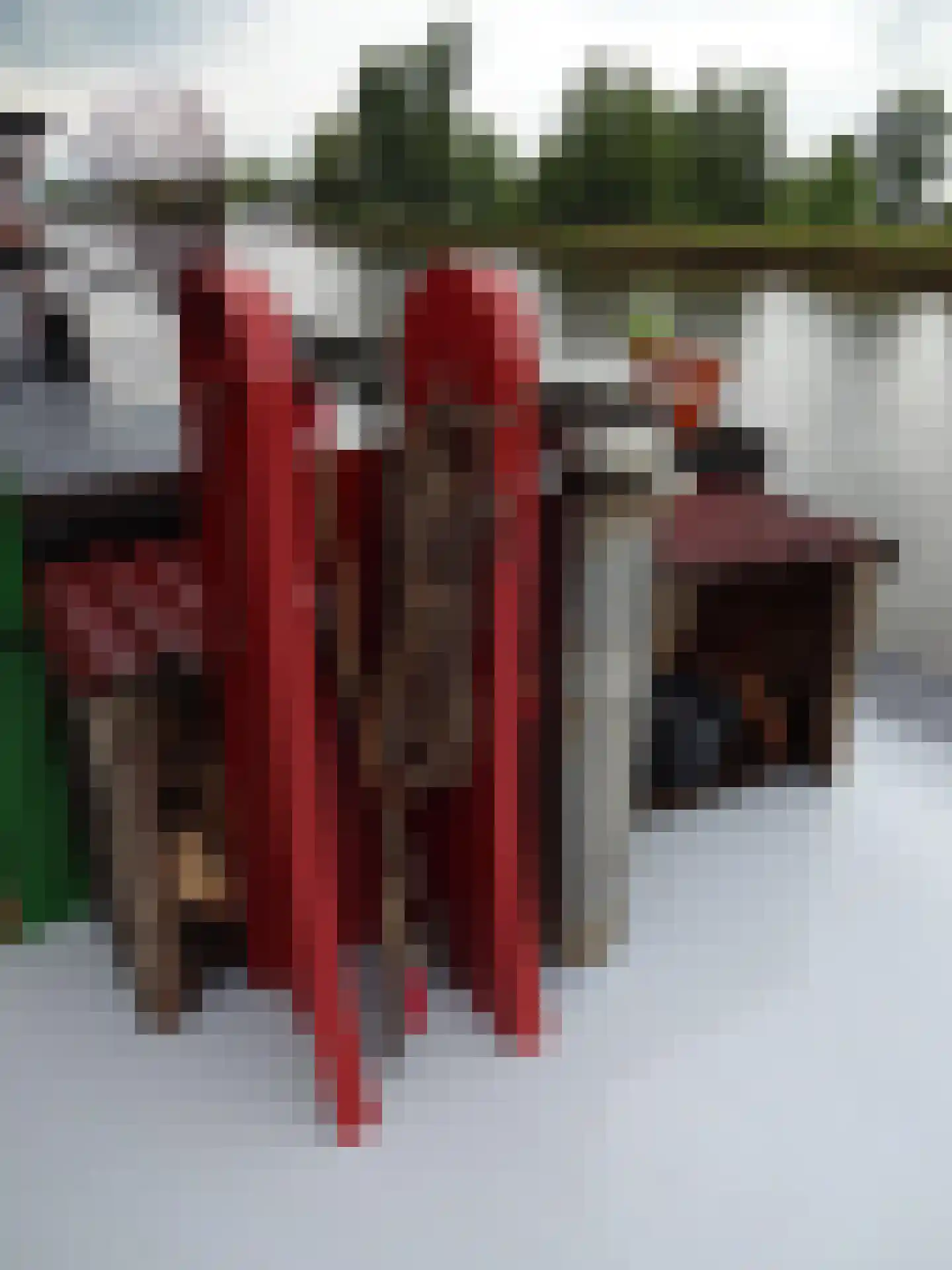 Nauernasche Vaartdijk 52 ROOD Westzaan thumbnail 23