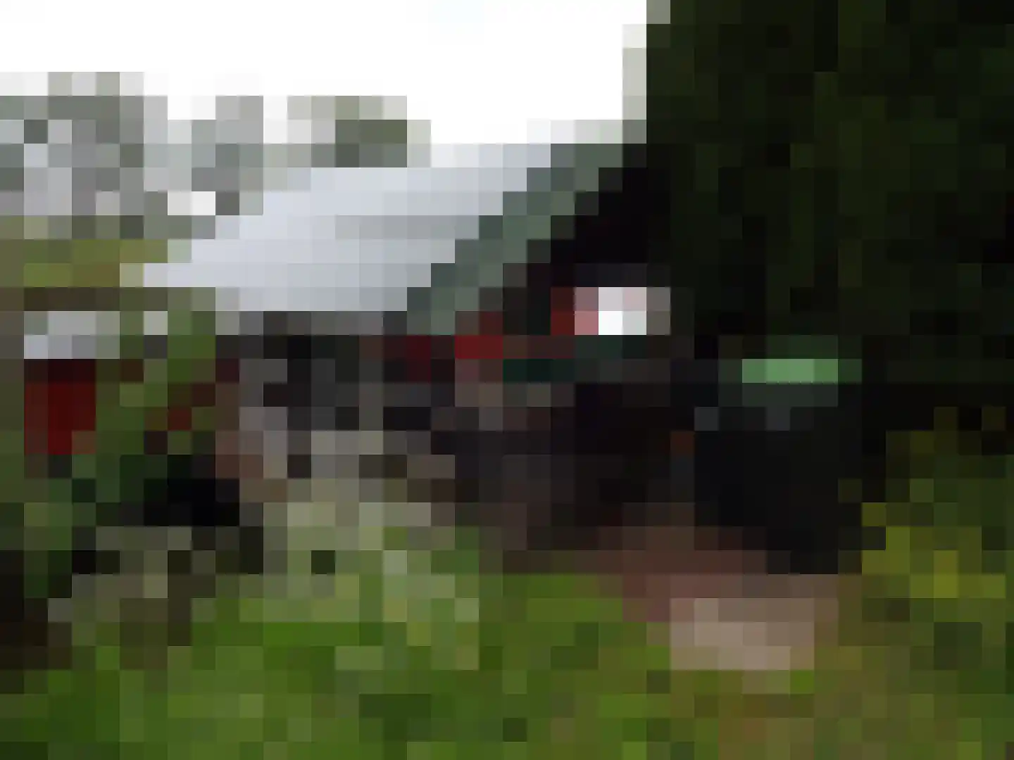 Nauernasche Vaartdijk 52 ROOD Westzaan thumbnail 26