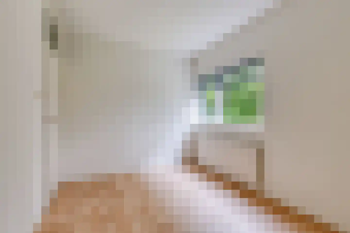 Nauertogt 17 Koedijk thumbnail 13