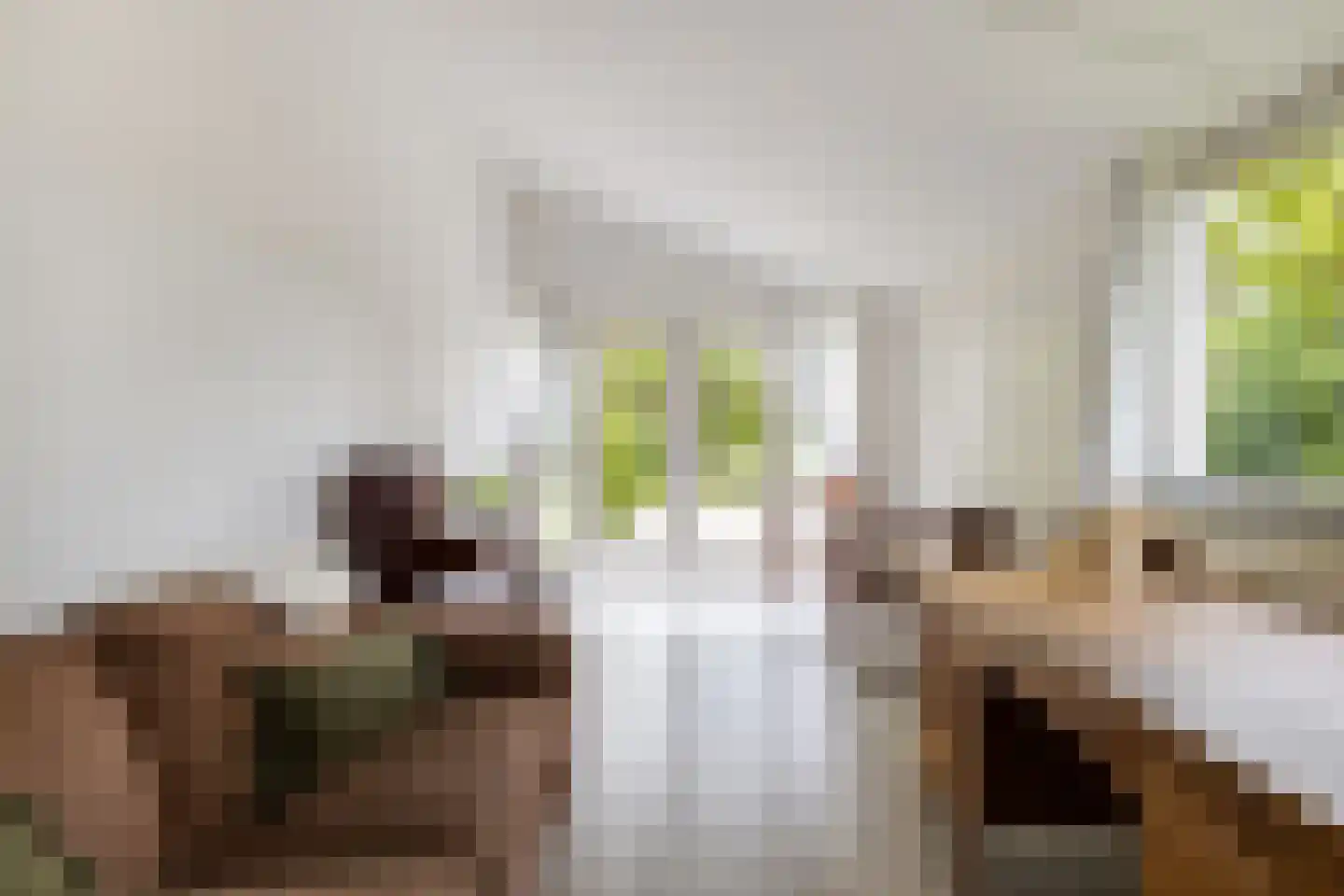 Nauertogt 17 Koedijk thumbnail 14