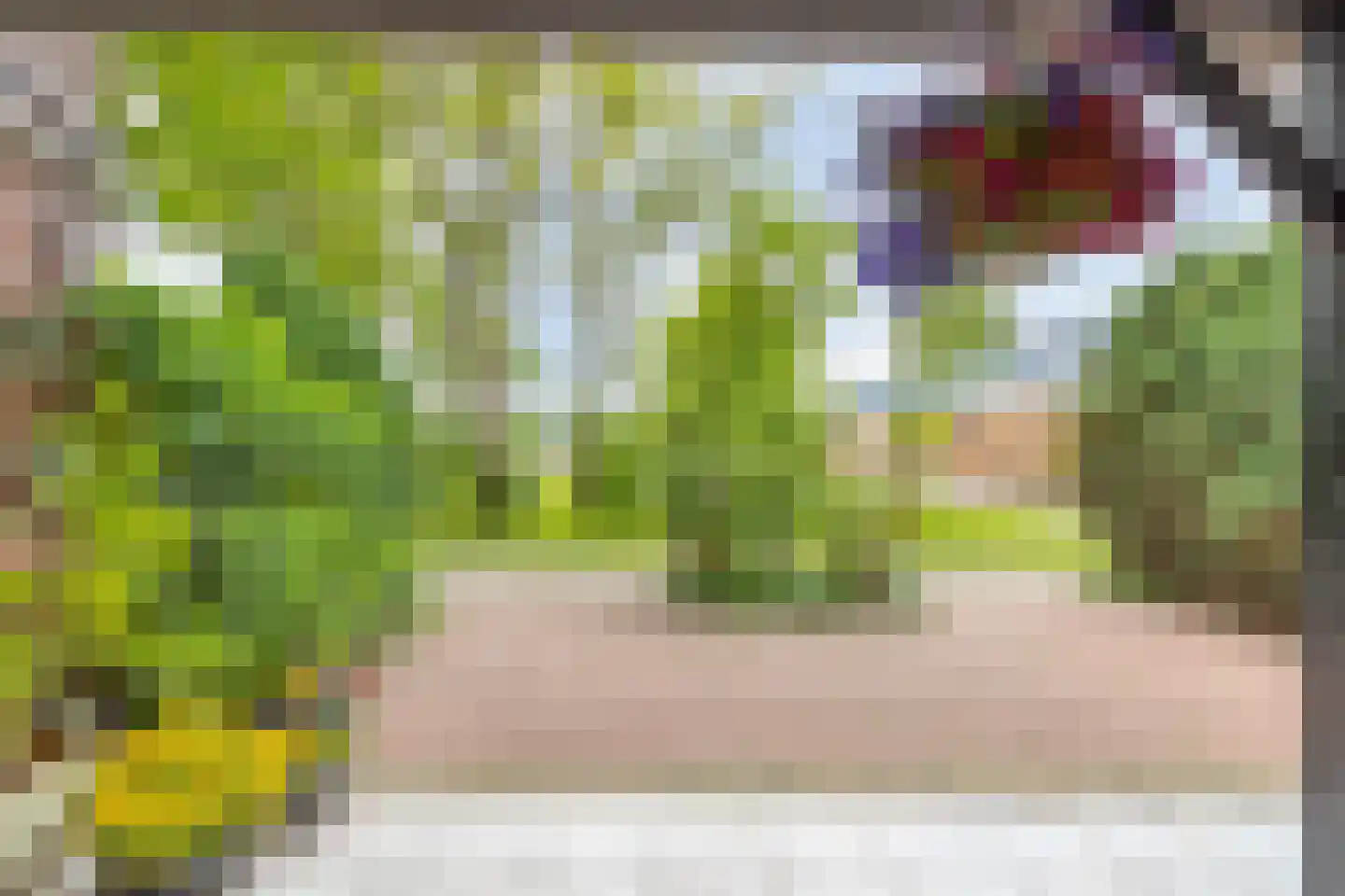 Nauertogt 17 Koedijk thumbnail 16