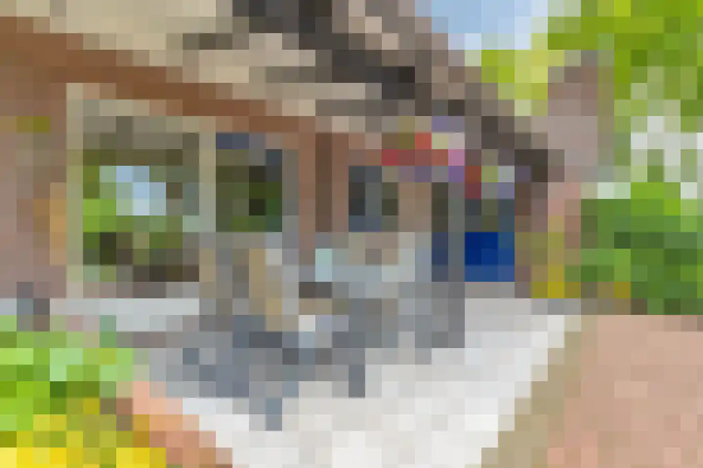 Nauertogt 17 Koedijk thumbnail 17