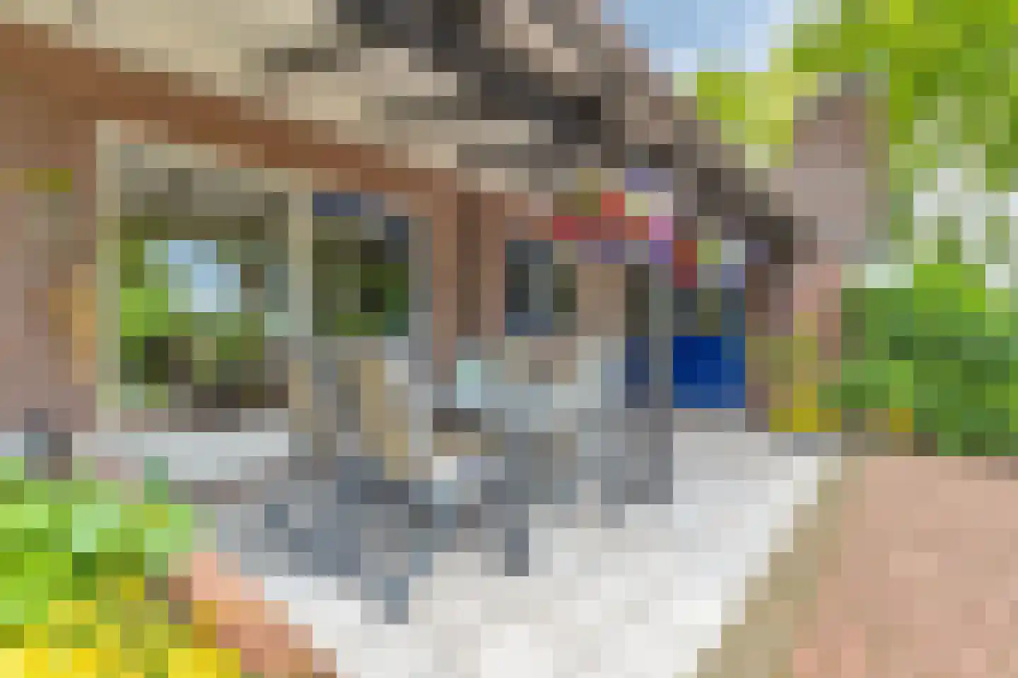 Nauertogt 17 Koedijk thumbnail 17
