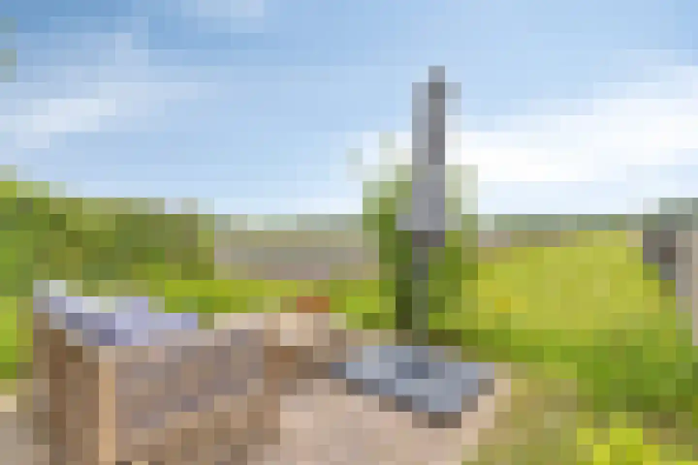 Nauertogt 17 Koedijk thumbnail 19