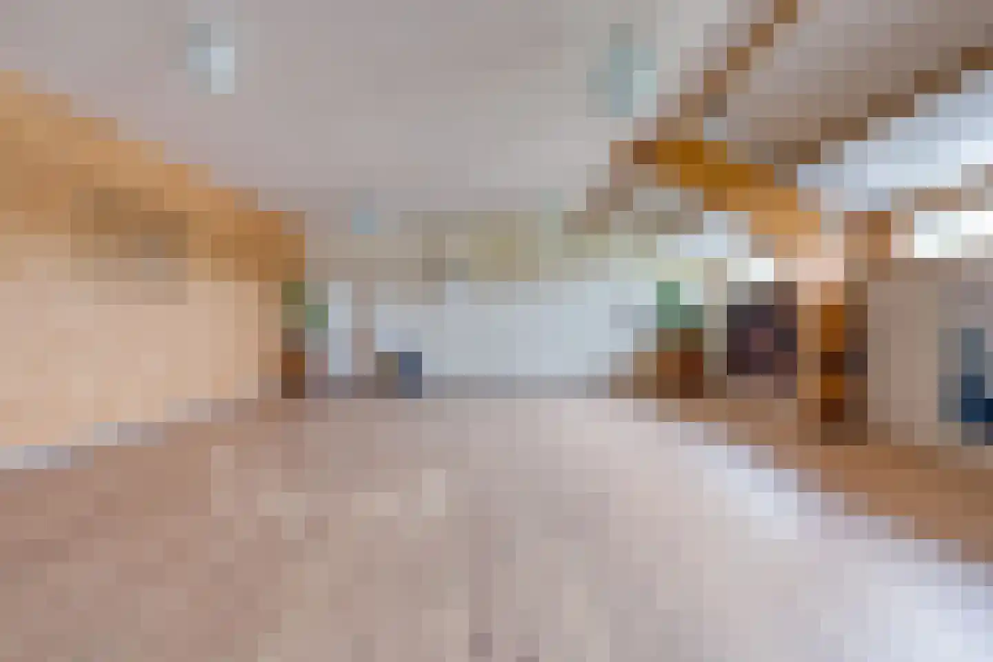 Nauertogt 17 Koedijk thumbnail 28