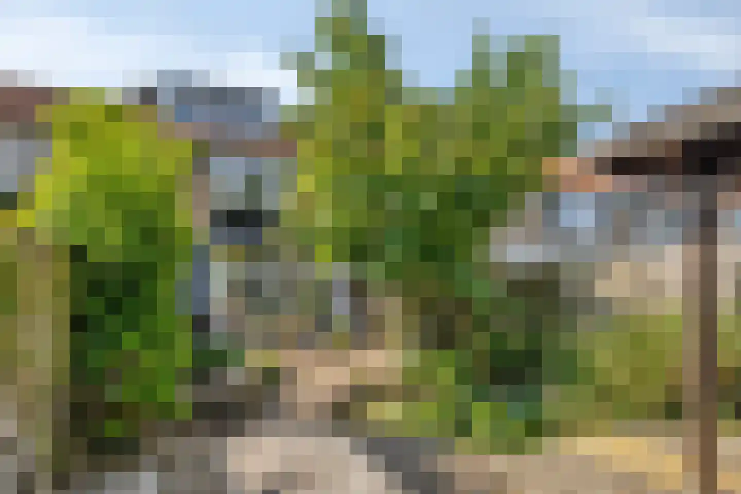Naundorffstraat 13 Breda thumbnail 30