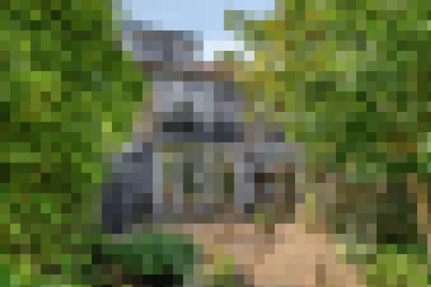 Naundorffstraat 13 Breda thumbnail 31