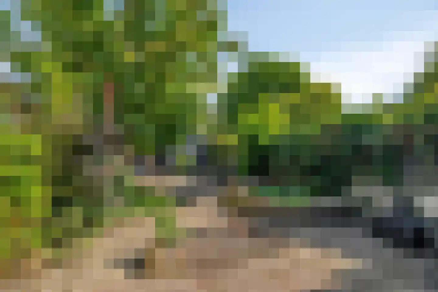 Naundorffstraat 13 Breda thumbnail 32
