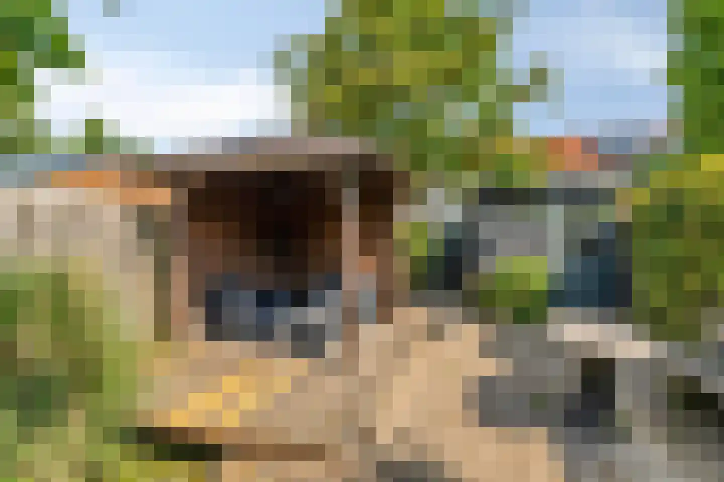 Naundorffstraat 13 Breda thumbnail 35