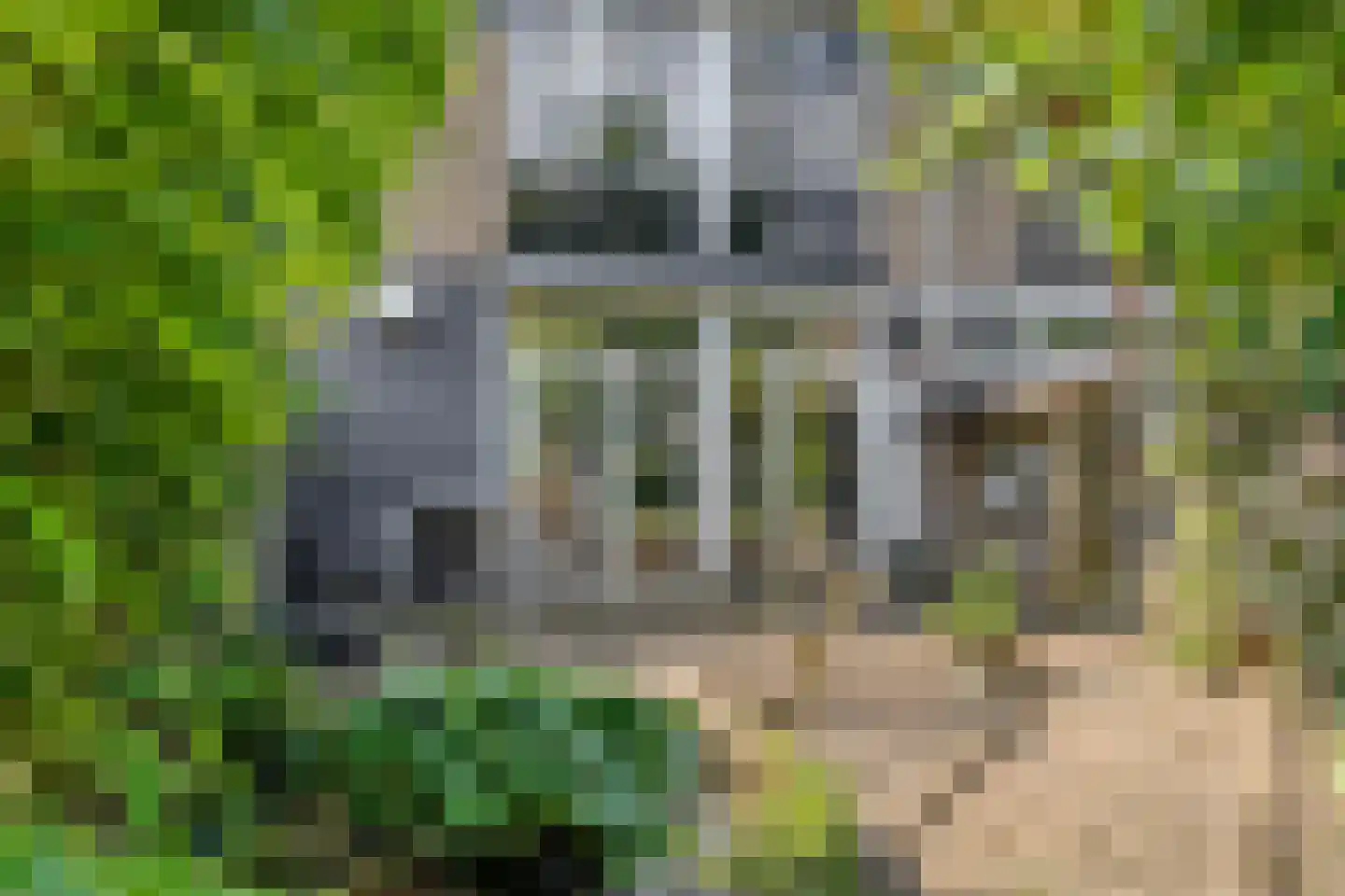Naundorffstraat 13 Breda thumbnail 4