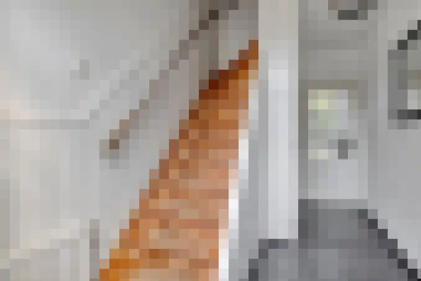 Naundorffstraat 13 Breda thumbnail 6