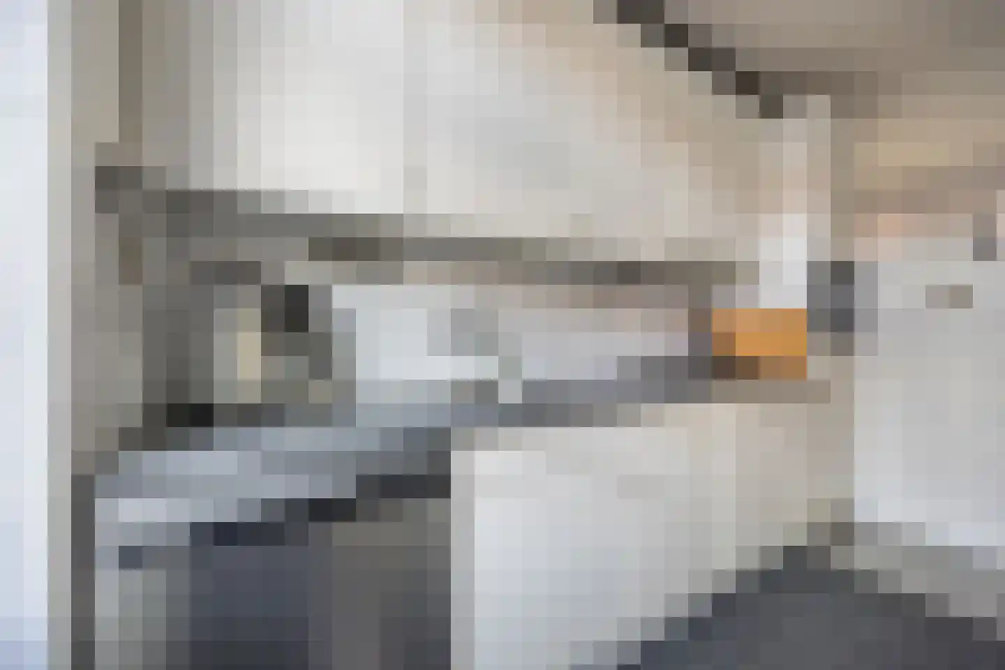 Naundorffstraat 23 Breda thumbnail 21