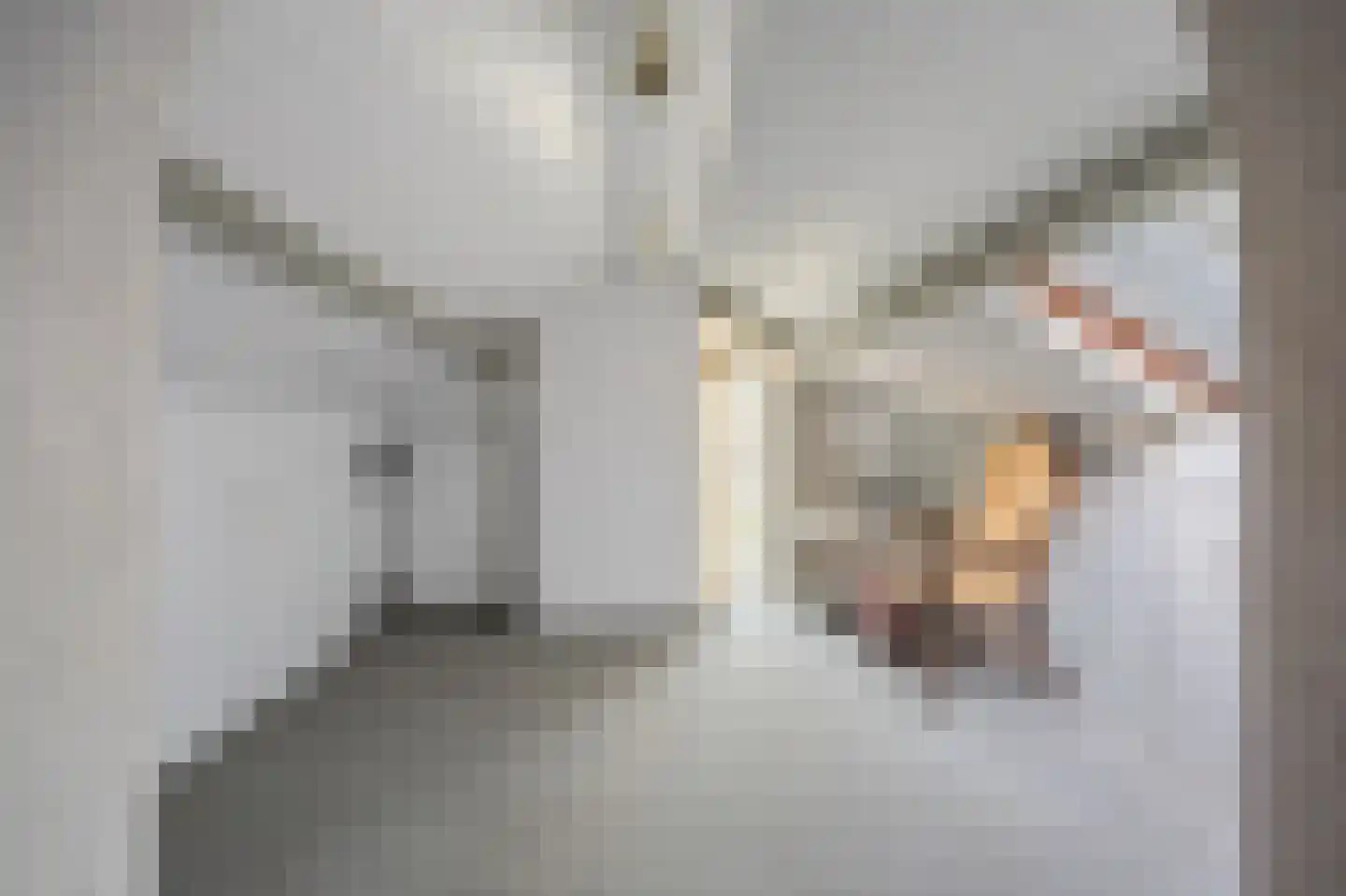 Naundorffstraat 23 Breda thumbnail 37