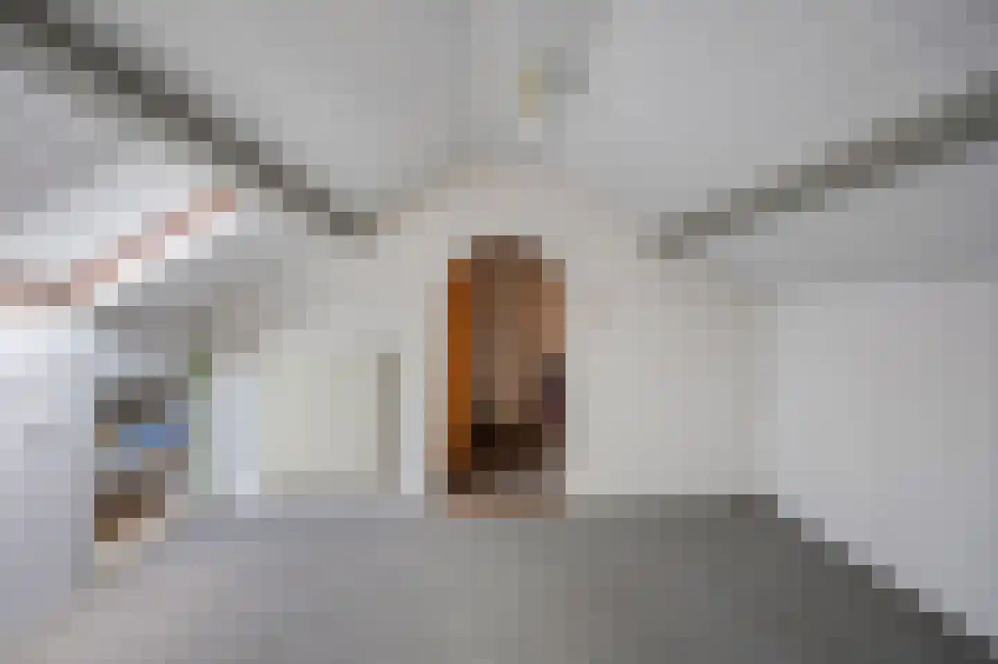 Naundorffstraat 23 Breda thumbnail 38