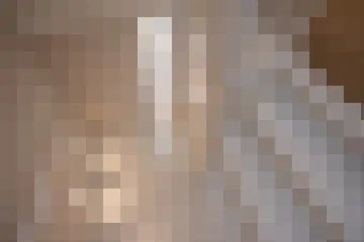 Nautawerf 10 Leidschendam thumbnail 11