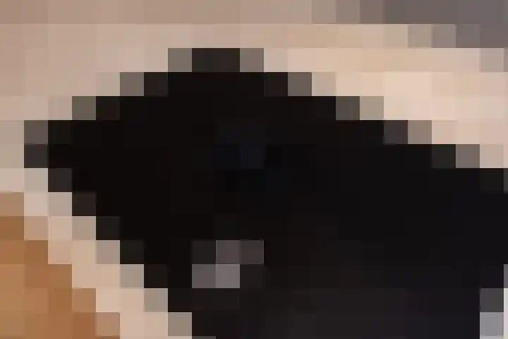Nautawerf 10 Leidschendam thumbnail 17