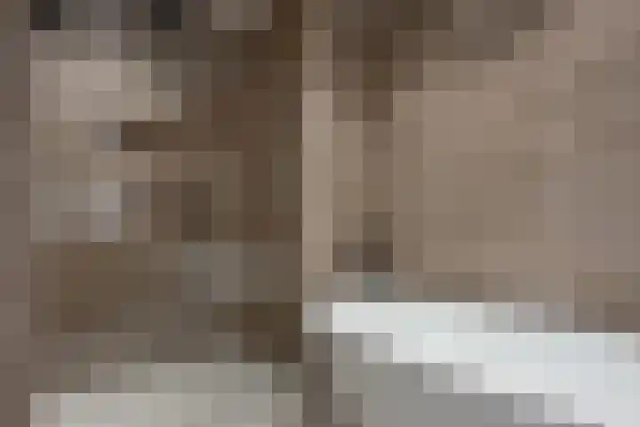 Nautawerf 10 Leidschendam thumbnail 30